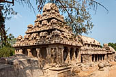 Mamallapuram - Tamil Nadu. The five Rathas. The Dharmaraja Ratha.